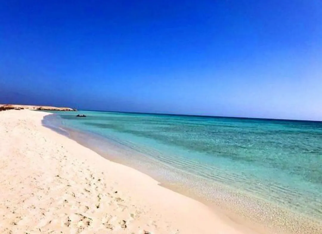 🏖️🌊 Sharm El Luli & El Qulaan Tour – Marsa Alam 🐠🌴 Sharm EL Luli /IMG-20260703-WA0010.jpg
